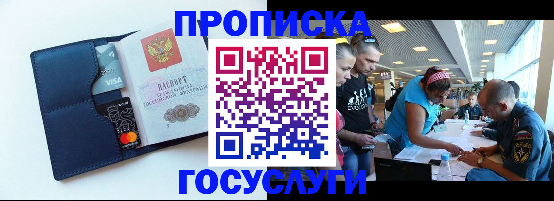 прописка штамп в Сольцах
